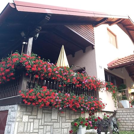Apartment Vihor Zlatibor Ngoại thất bức ảnh
