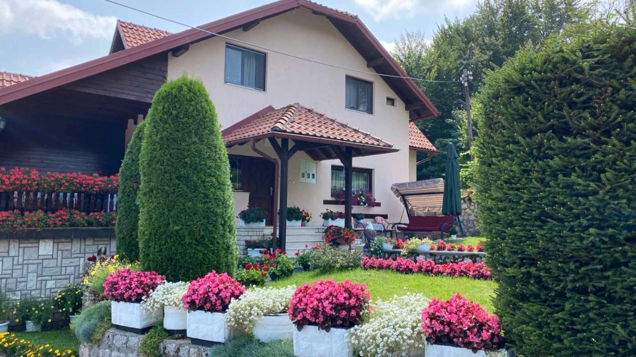 Apartment Vihor Zlatibor Ngoại thất bức ảnh
