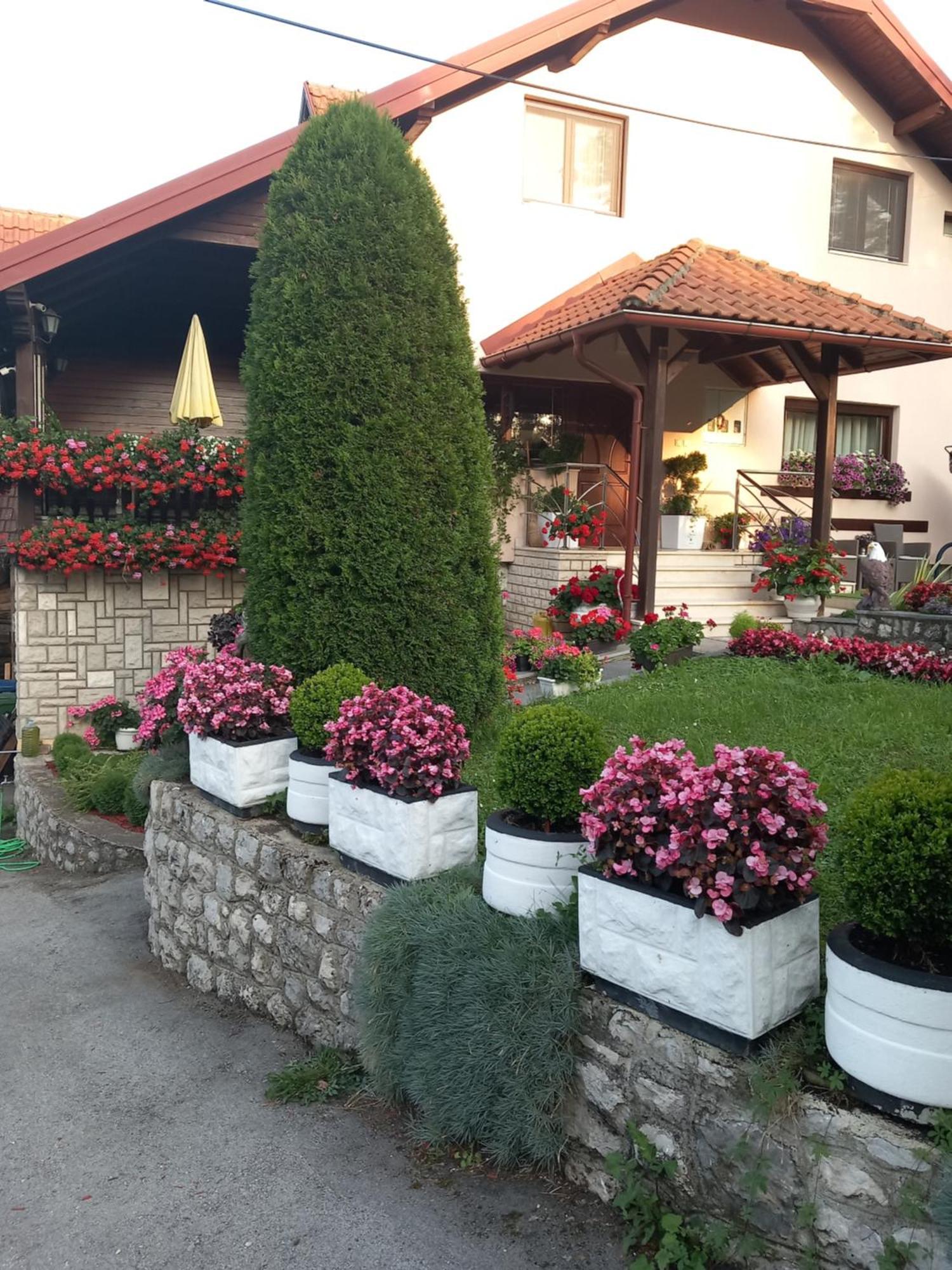 Apartment Vihor Zlatibor Ngoại thất bức ảnh