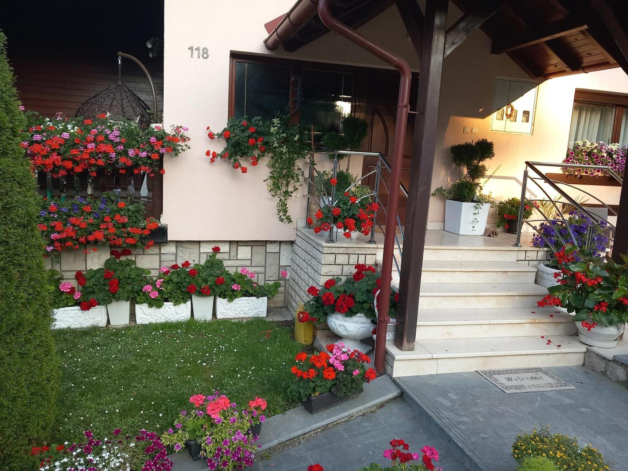 Apartment Vihor Zlatibor Ngoại thất bức ảnh