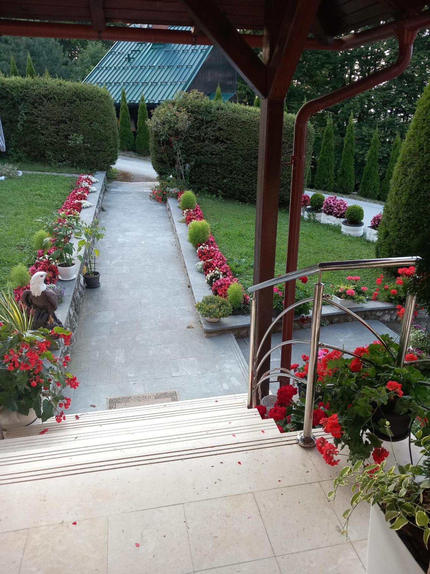 Apartment Vihor Zlatibor Ngoại thất bức ảnh